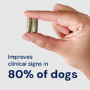 Hand holding two small cylindrical objects with text about improving clinical signs in dogs.