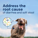 Dog running outdoors with text about addressing diarrhea and soft stool, and a microbe illustration.