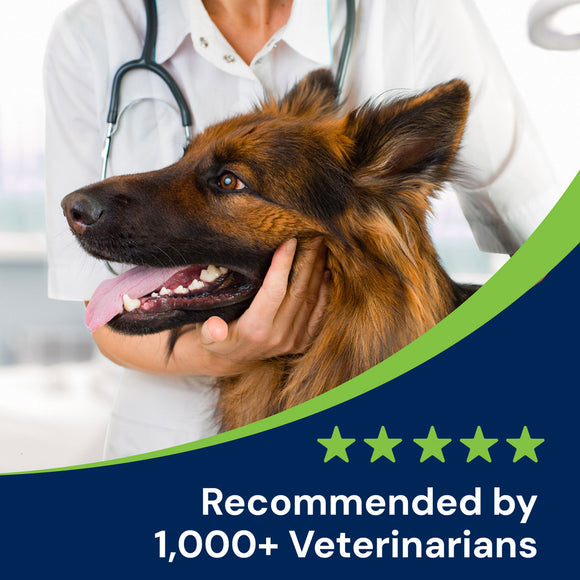 Dog being examined by a veterinarian with a five-star rating badge and text 'Recommended by 1,000+ Veterinarians'.