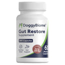 DoggyBiome Gut Restore Supplement bottle on a gray background