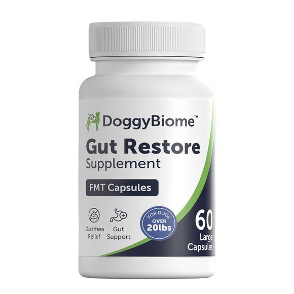 DoggyBiome Gut Restore Supplement bottle on a gray background