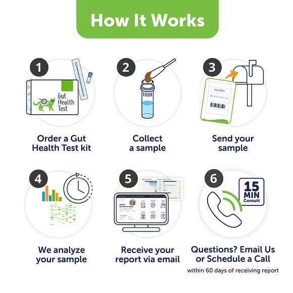 Step-by-step guide on how to order a gut health test with icons and text.