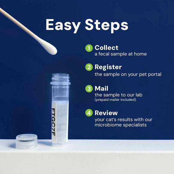 Fecal sample collection kit with steps for home collection and submission on a blue background