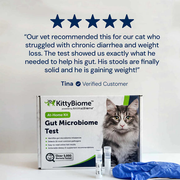 KittyBiome cat gut microbiome test kit with a customer review on a white background