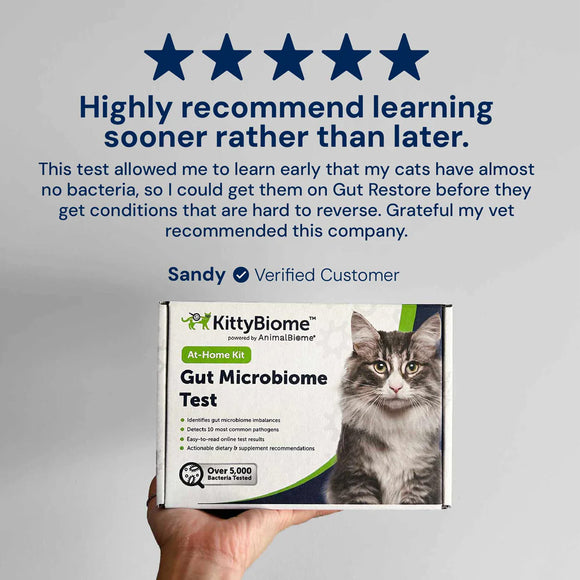 KittyBiome Gut Microbiome Test kit with a cat on a gray background and customer review text.
