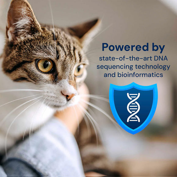 Cat being petted with text about DNA sequencing technology and bioinformatics