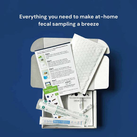 At-home fecal sampling kit with instructions and supplies on a blue background