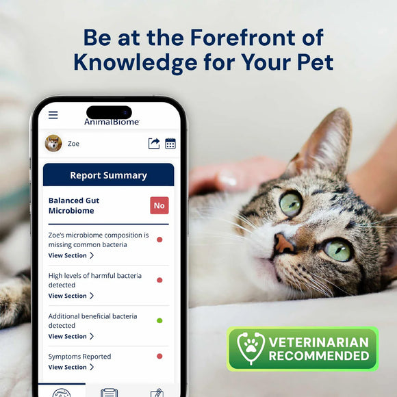Phone displaying a pet health app with a cat lying on a person's arm in the background