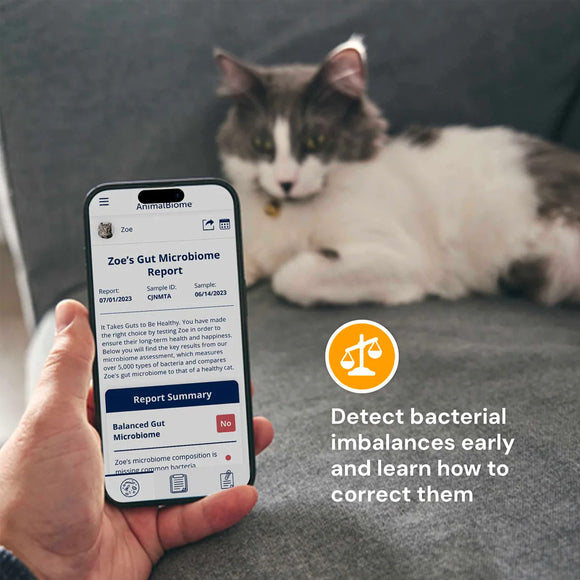 Person holding a smartphone with a pet health app displaying a report, with a cat in the background.