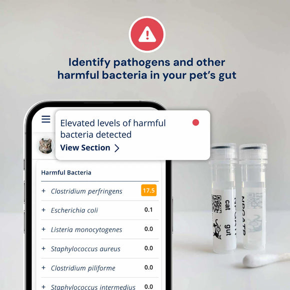 Phone screen showing harmful bacteria detection app with test tubes on a white background