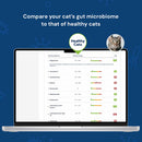 Laptop screen displaying a comparison of a cat's gut microbiome with healthy cats on a blue background.