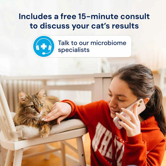 Woman in red sweatshirt talking on phone with cat on chair, promotional text for free consult.