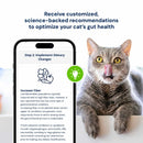 Cat with a smartphone displaying dietary recommendations for gut health on a white background