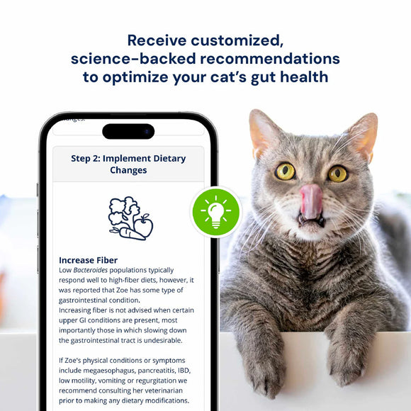 Cat with a smartphone displaying dietary recommendations for gut health on a white background