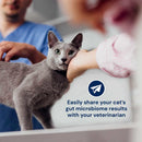 Gray cat being held by a person with a veterinary professional in the background, promoting sharing gut microbiome results.