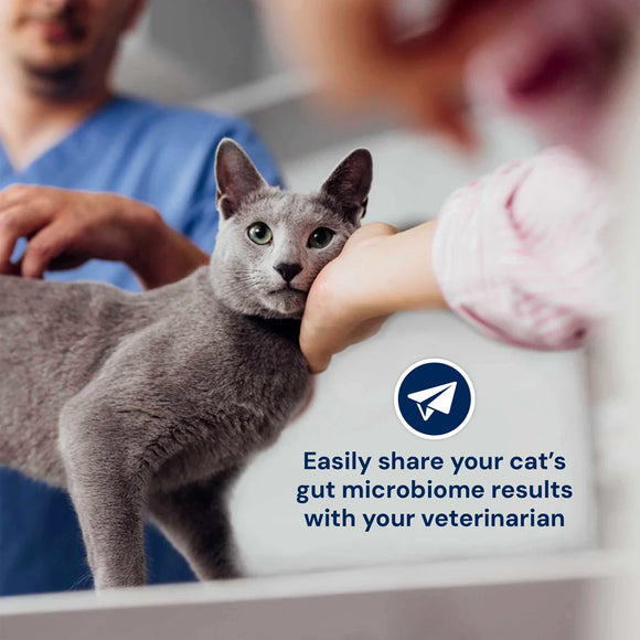 Gray cat being held by a person with a veterinary professional in the background, promoting sharing gut microbiome results.