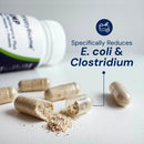 Supplement capsules with a bottle labeled 'NutraFlora' on a light background, highlighting E. coli and Clostridium reduction.