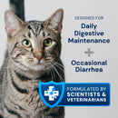 Cat with text about digestive health and scientific formulation on a light gray background