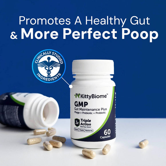 KittyBiome GMP supplement bottle with capsules on a blue background