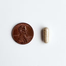Pill next to a penny on a white background