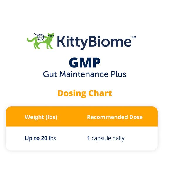 KittyBiome GMP Gut Maintenance Plus dosing chart for pets on a white background
