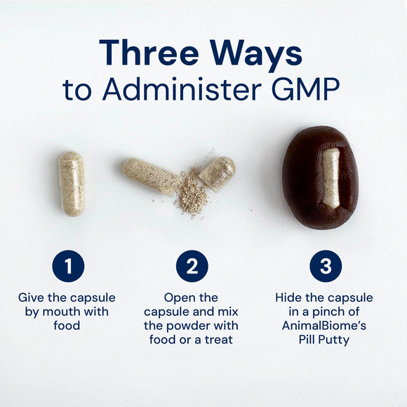 Three methods to administer GMP with corresponding illustrations on a white background.