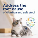 Cat with text 'Address the root cause of diarrhea and soft stool' and a diagram of gut bacteria.