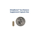 KittyBiome Gut Restore supplement capsule size comparison with a quarter on a white background