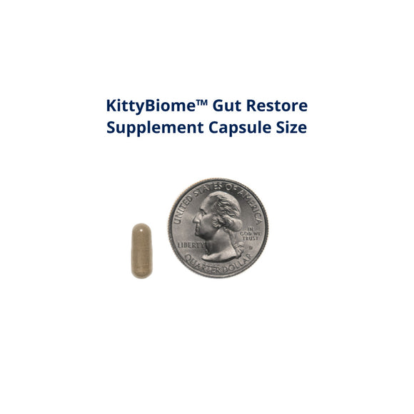 KittyBiome Gut Restore supplement capsule size comparison with a quarter on a white background