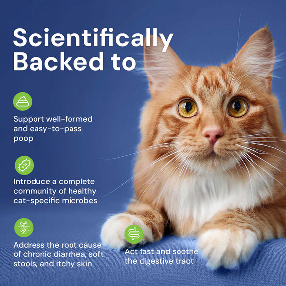 Cat on a blue background with text about scientific backing and cat health benefits.