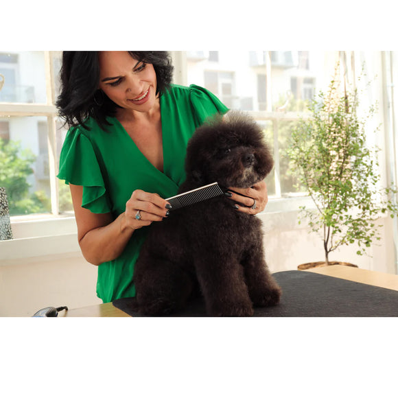 Woman grooming a black dog with a comb in a bright room.
