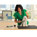 Woman grooming a small white dog on a table with a window in the background