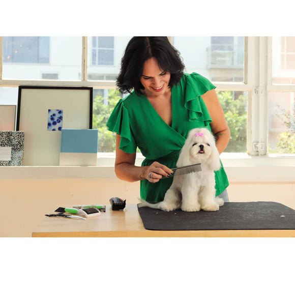 Woman grooming a small white dog on a table with a window in the background