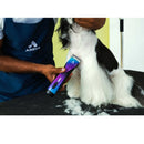 Person grooming a dog with a blue and purple grooming tool, wearing an apron with 'Andis' branding.