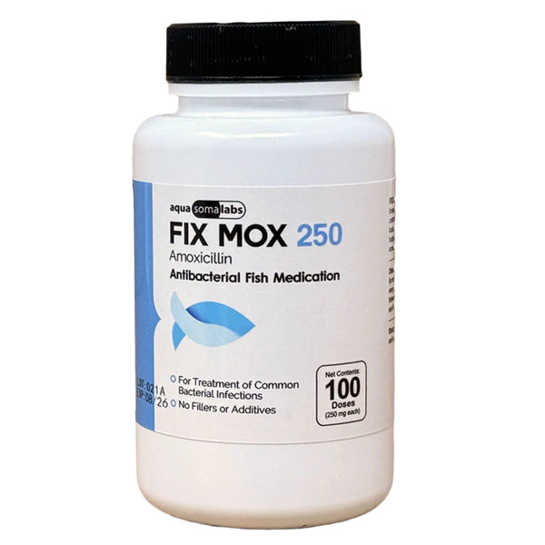 Fix Mox (Amoxicillin) Capsules Fish Antibiotics, 250-mg, 100-count