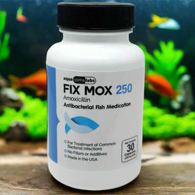 Fix Mox (Amoxicillin) Capsules Fish Antibiotics, 250-mg, 30-count