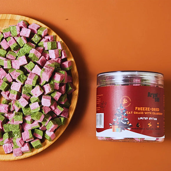 Freeze-dried cat grass with cranberries on a wooden plate next to a red container on an orange background