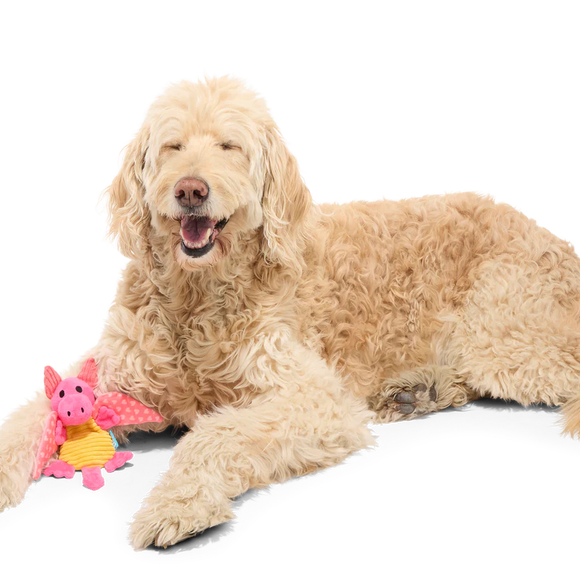 BARK Valentine Dingbert The Dragon Plush Dog Toy