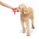 BARK Valentine Dingbert The Dragon Plush Dog Toy-2