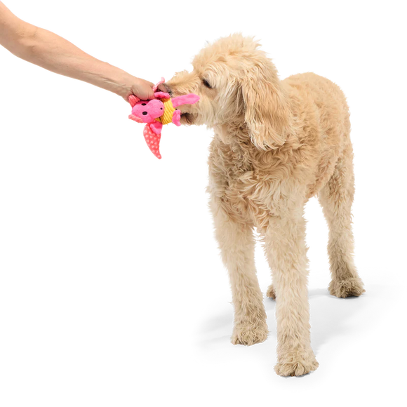 BARK Valentine Dingbert The Dragon Plush Dog Toy