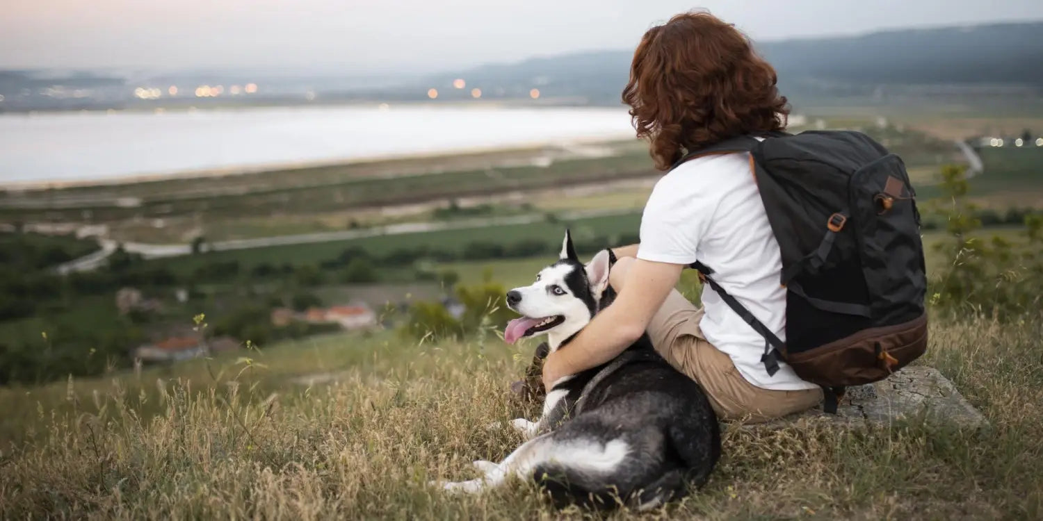 10 Fun Ways to Celebrate the National Dog Month
