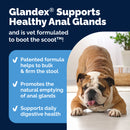 Glandex Anal Gland Support Peanut Butter Soft Chews for Dogs-4