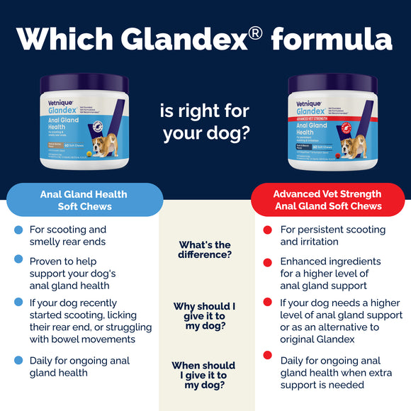 Glandex Advanced Vet Strength Anal Gland Support for Dogs, Duck & Bacon Flavor
