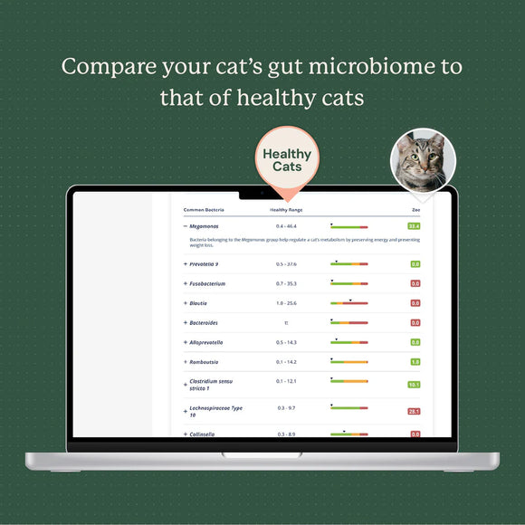 Kitty Biome At-Home Kit Gut Microbiome Test for Cats