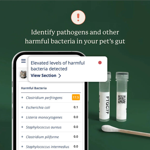 Kitty Biome At-Home Kit Gut Microbiome Test for Cats