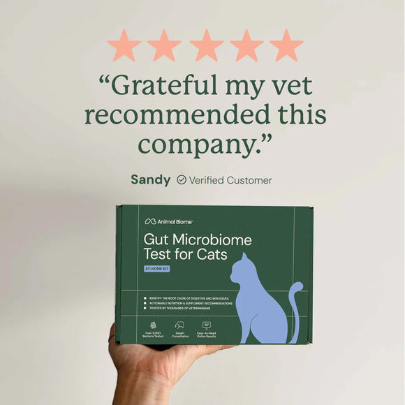 Kitty Biome At-Home Kit Gut Microbiome Test for Cats