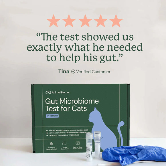 Kitty Biome At-Home Kit Gut Microbiome Test for Cats