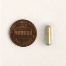 Kitty Biome Gut Restore Supplement FMT Capsules for Cats-13