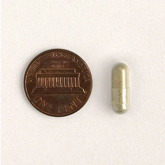 Kitty Biome Gut Restore Supplement FMT Capsules for Cats