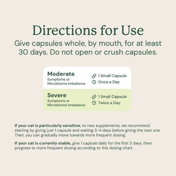 Kitty Biome Gut Restore Supplement FMT Capsules for Cats